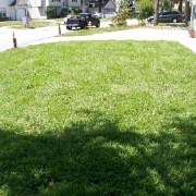 St. Augustine Sod Installation